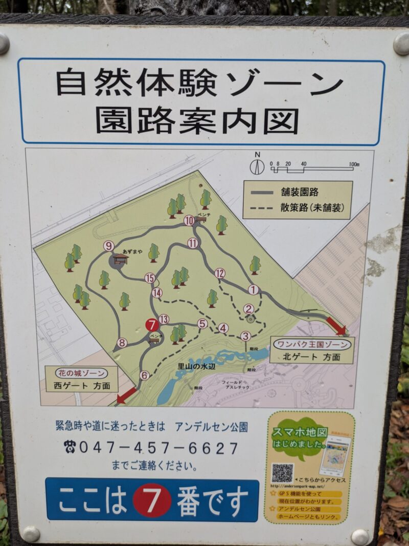 船橋アンデルセ公園　自然散策